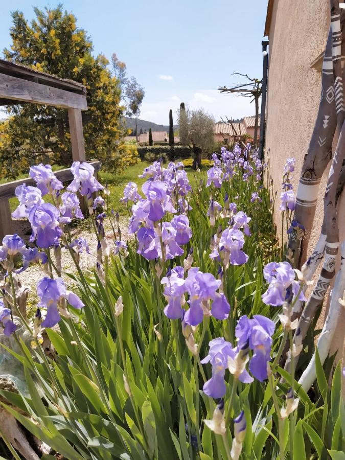 La Boheme Villa Seillans Eksteriør billede