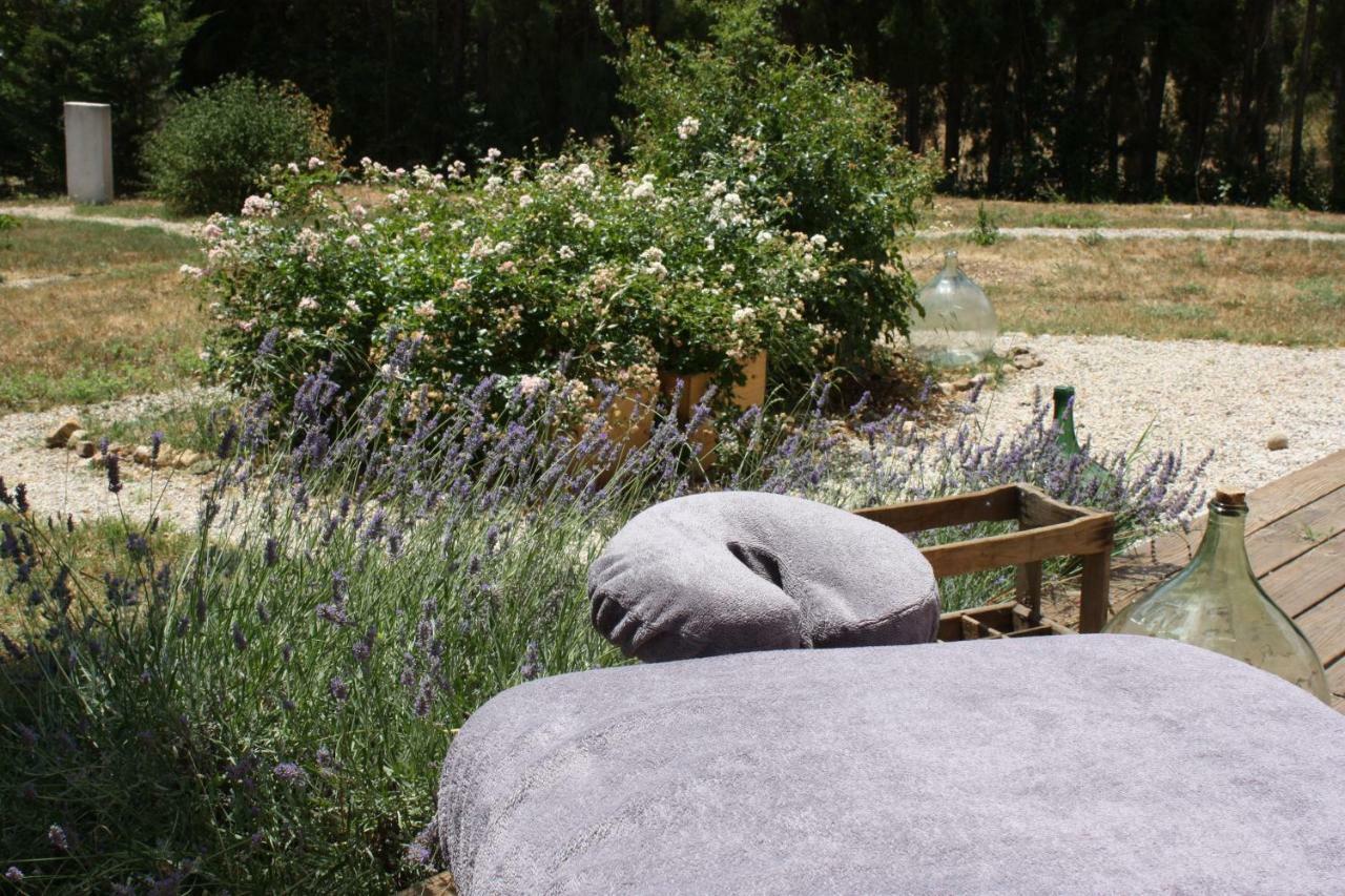 La Boheme Villa Seillans Eksteriør billede